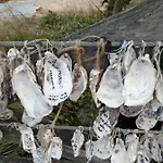 Appartement Adopt'ile *
